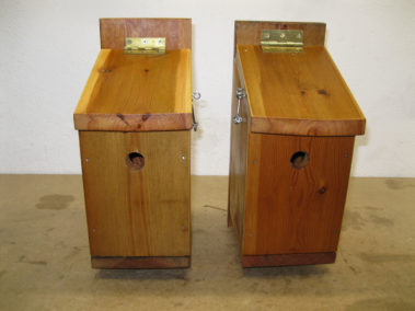 Bird Boxes