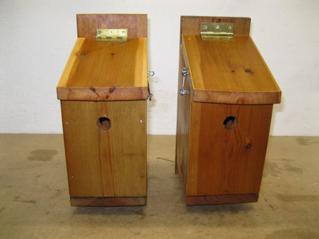 Bird Boxes